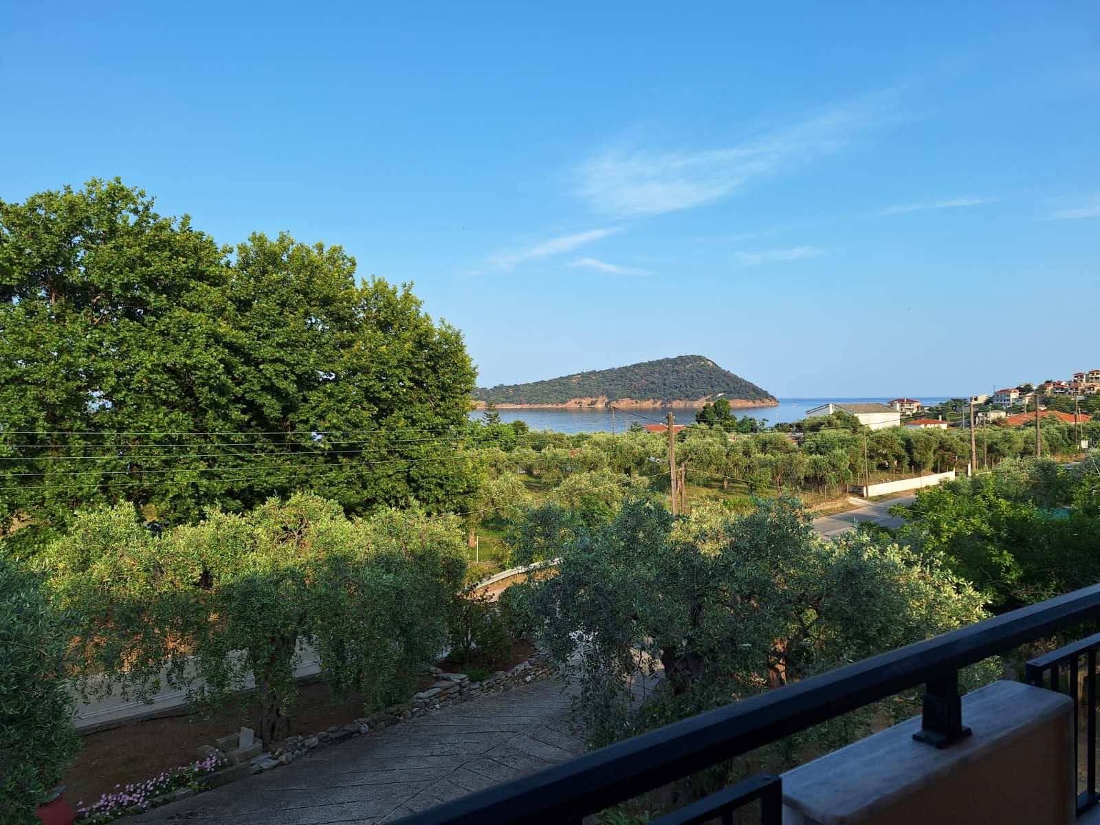 Sea view over the olive grove from a Studios Betty balcony