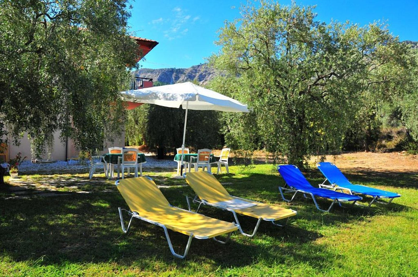 Garden with sun loungers under the olive trees at Studios Betty