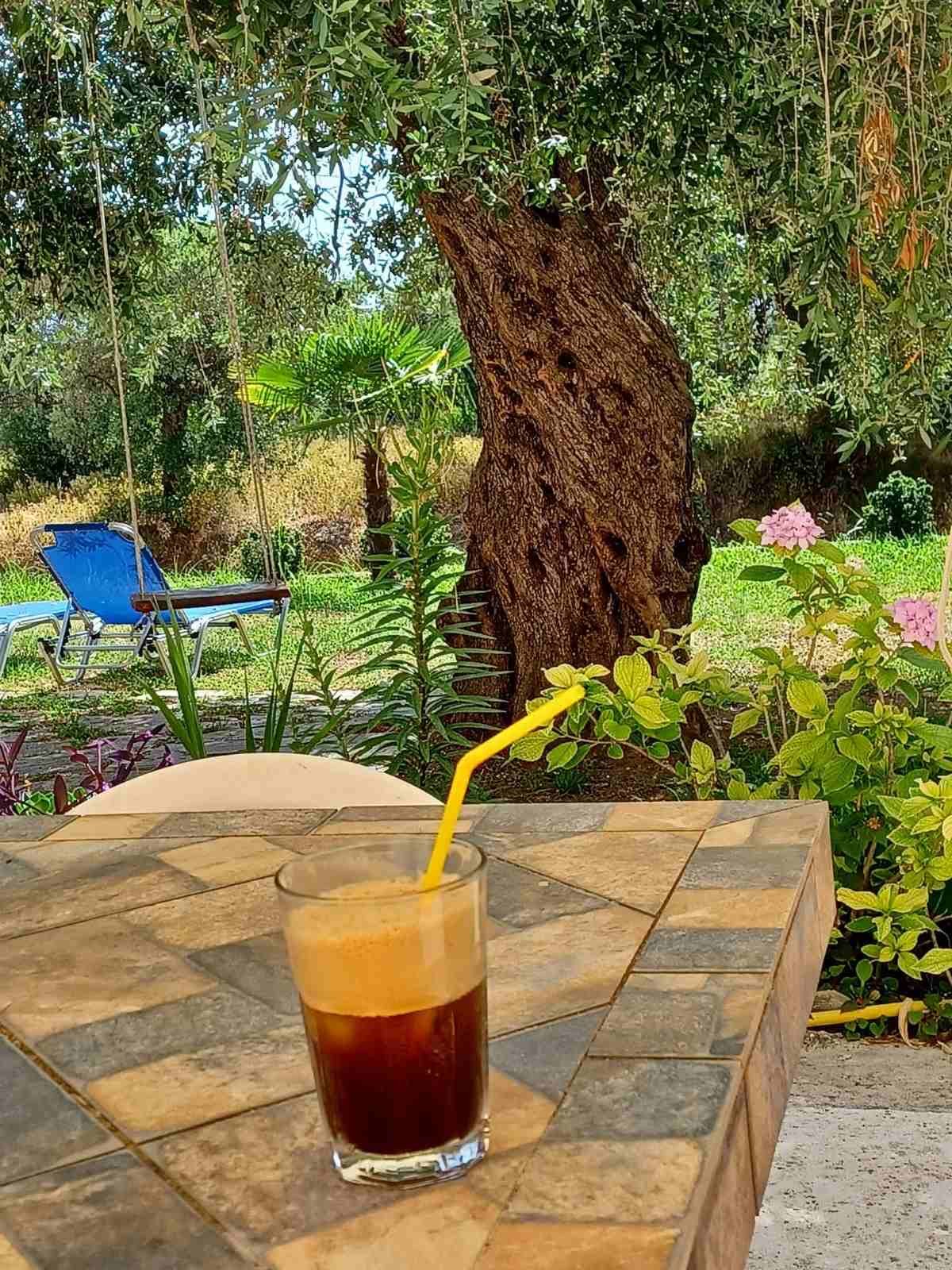 Iced coffee on the garden table beneath the olive tree
